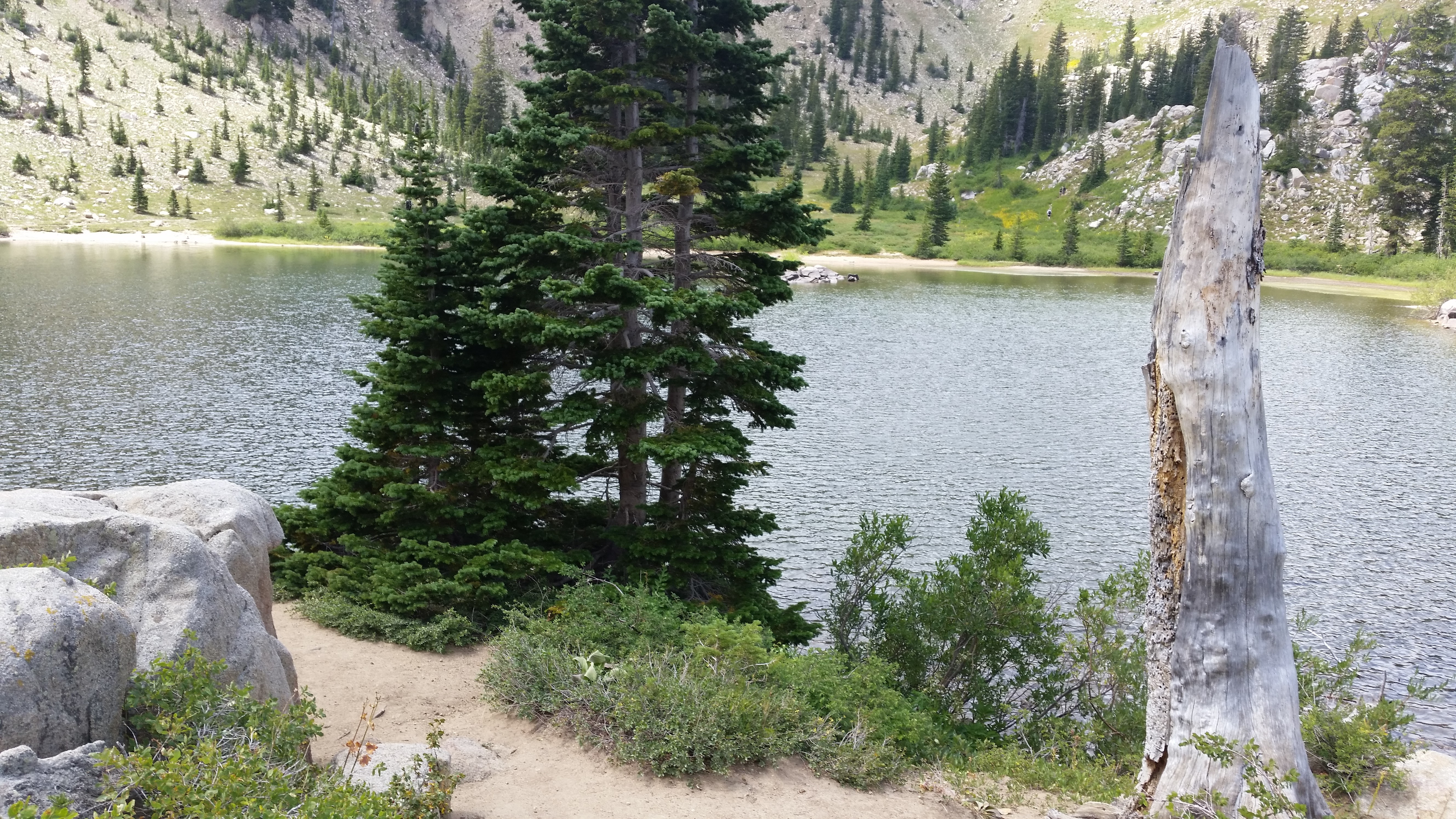 Snowbird – Utah · 2016